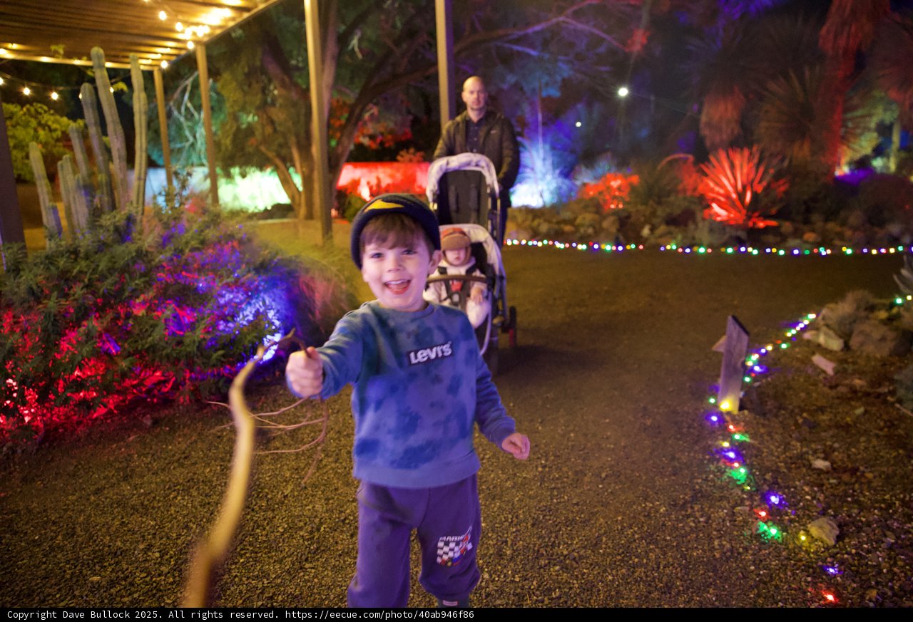 Garden of D'Lights: A Magical Evening Stroll