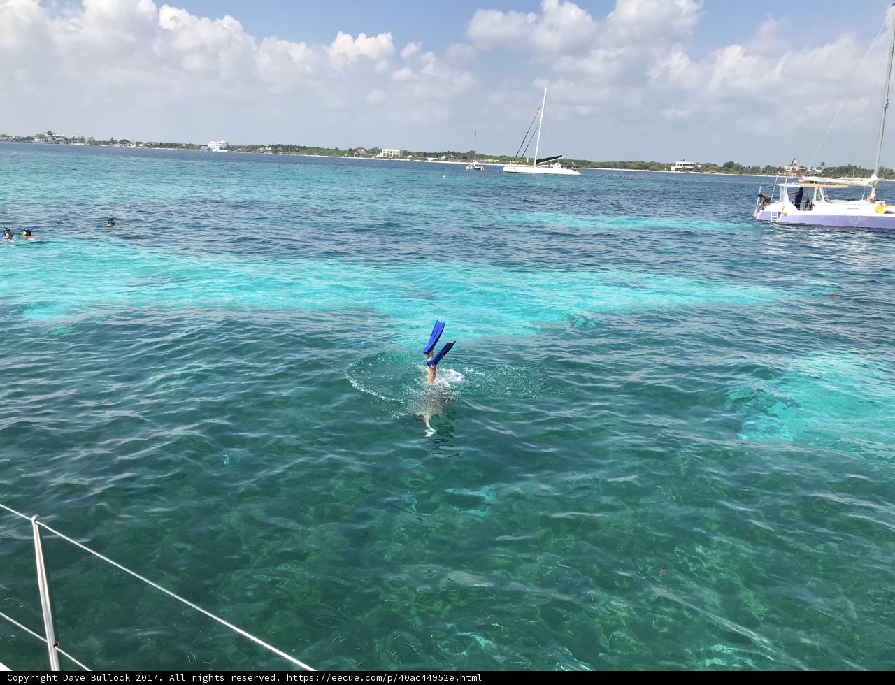 Snorkeling Adventure in the Sea