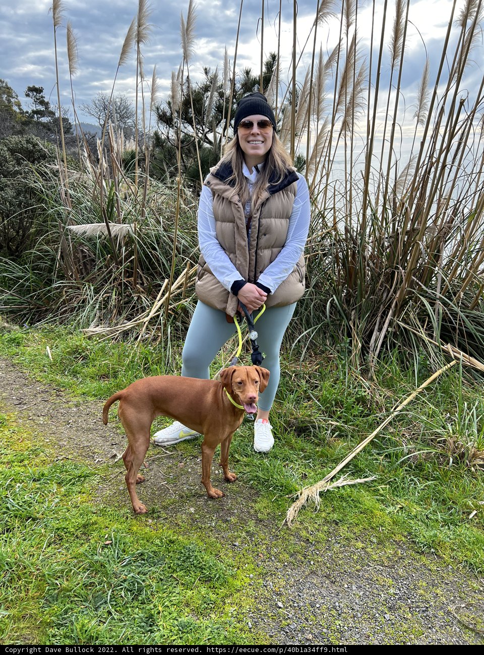 Walking the Dog in Jenner