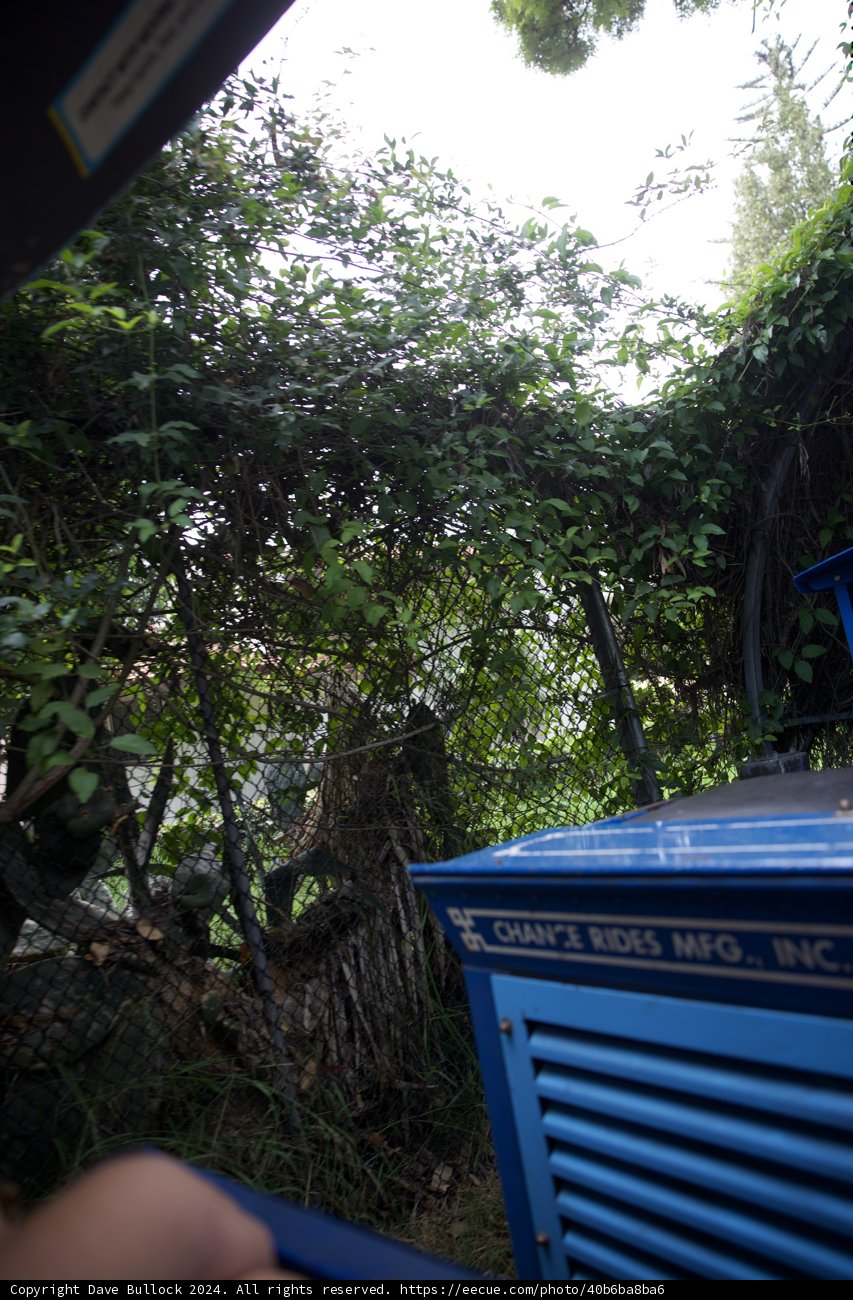 Hidden Forest Adventures