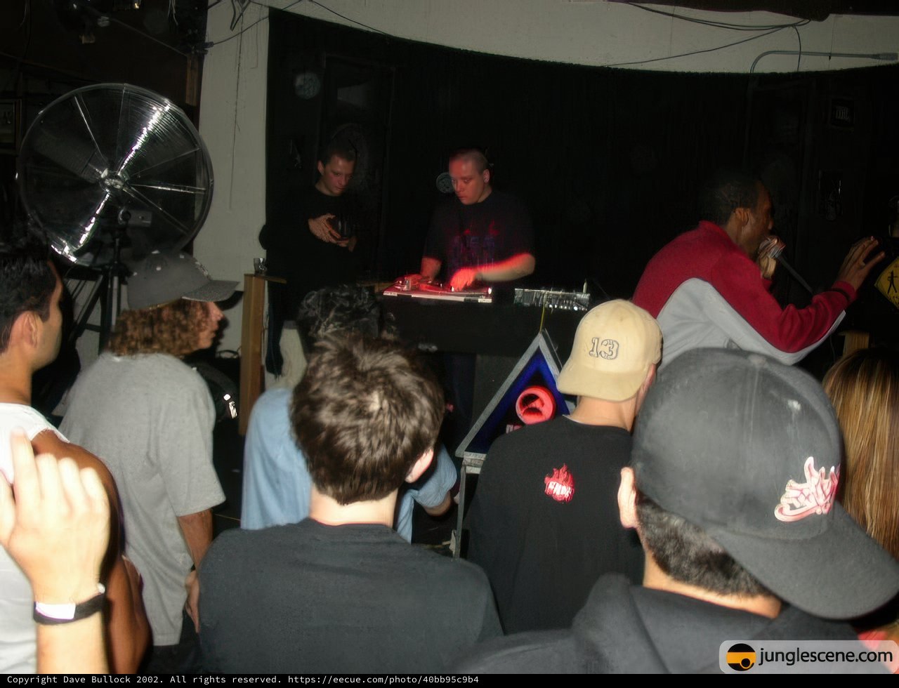 Nightclub Performance