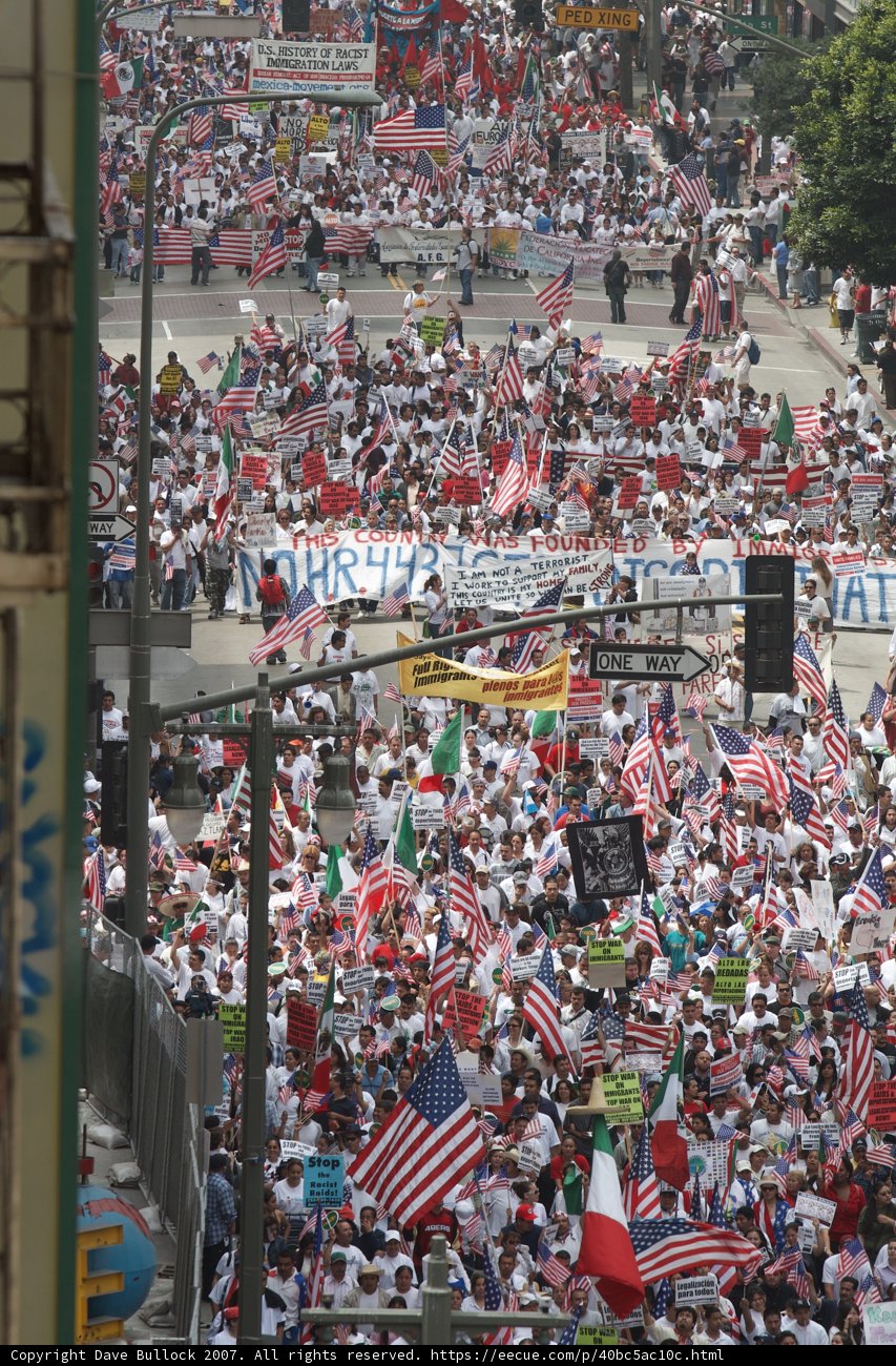 Patriotic Protesters