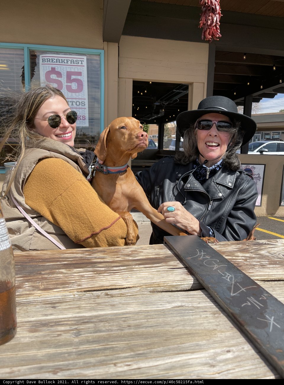 Two Women, a Dog, and Sunglasses