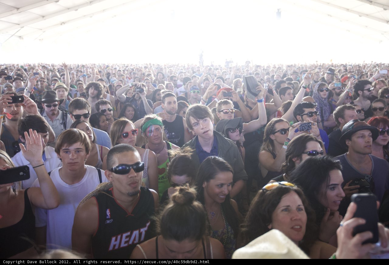 The Electric Crowd at Coachella 2012