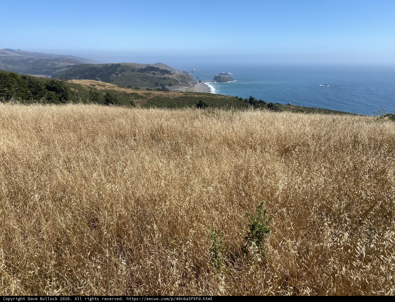 Overlooking the Pacific from a Grassy Hill