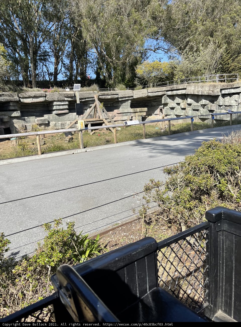 Nature meets urban life at San Francisco Zoo