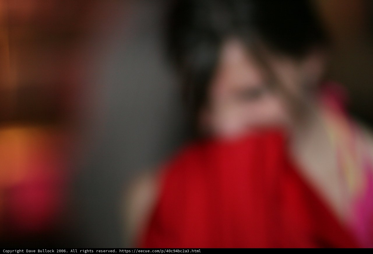 Blurred Beauty in Red