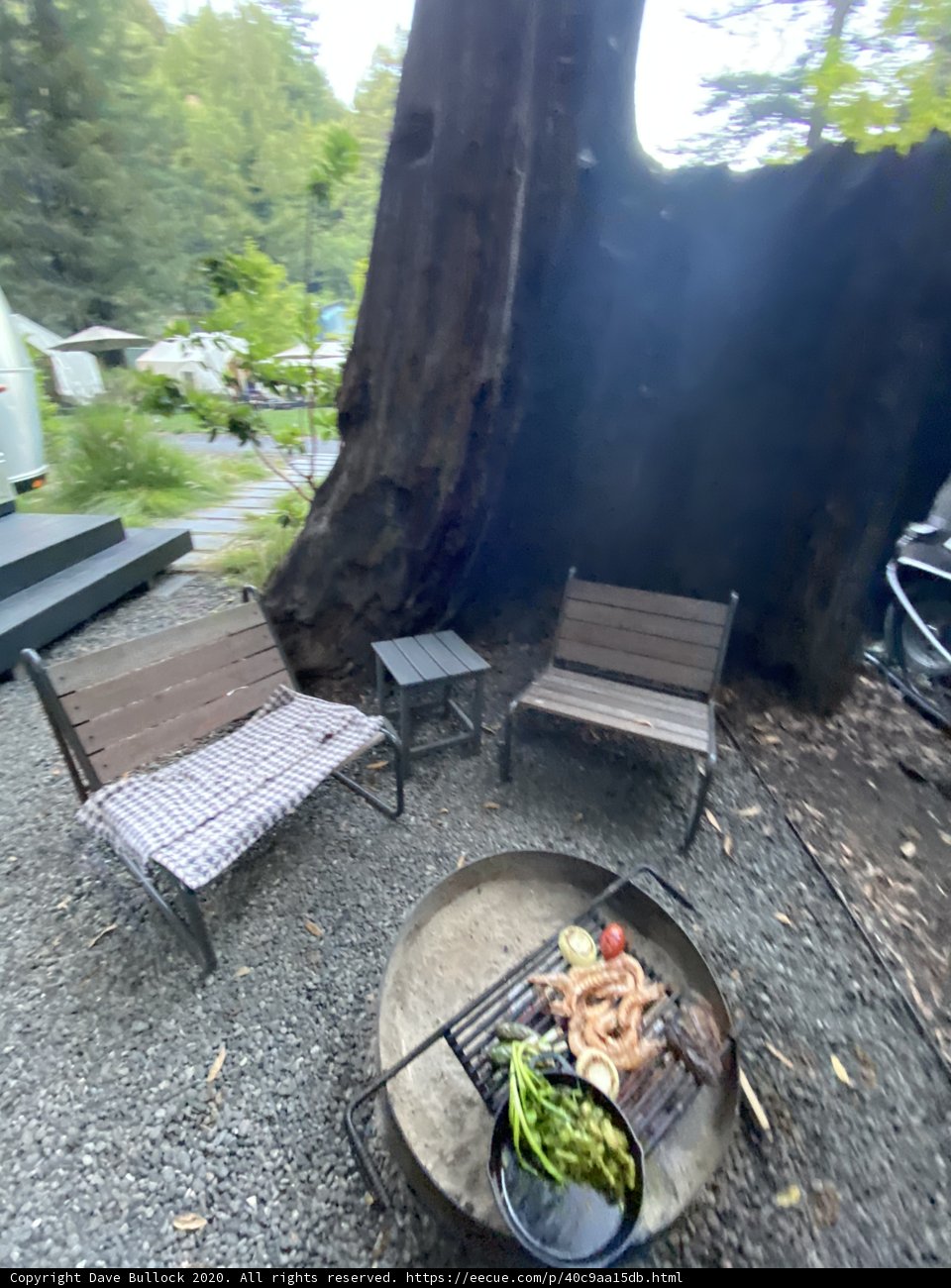 Summer BBQ in the Woods