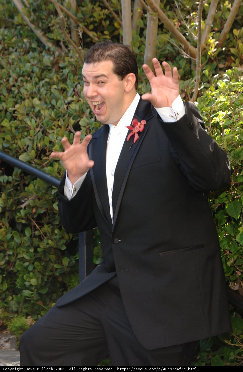 Silly Suit and Tie