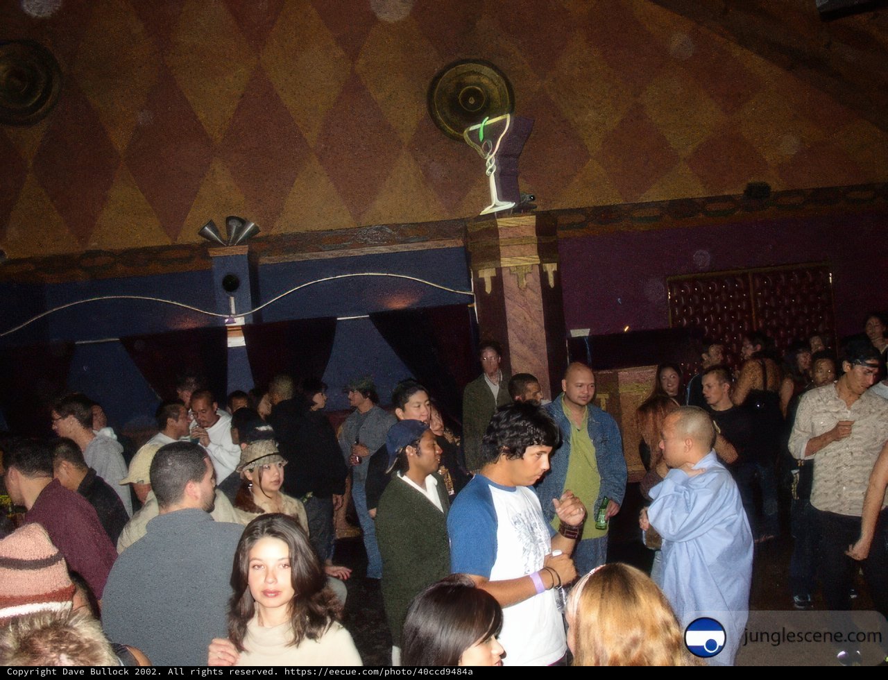 Night Club Celebration