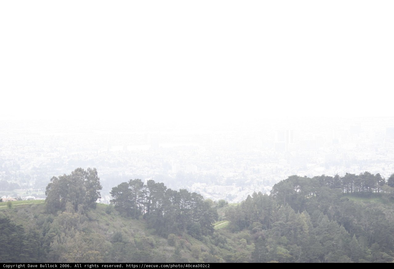 Solitude in the Haze