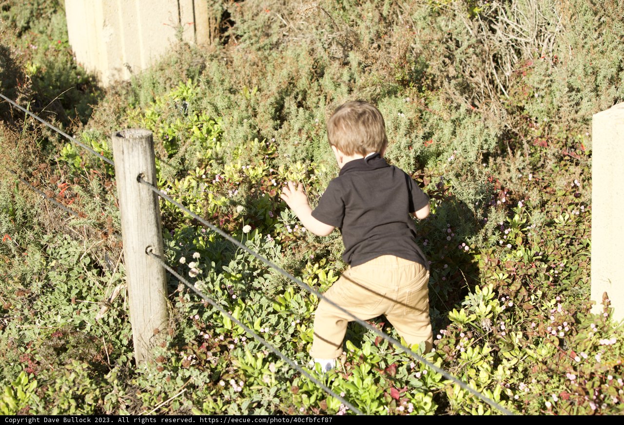 Childhood Exploration in Nature