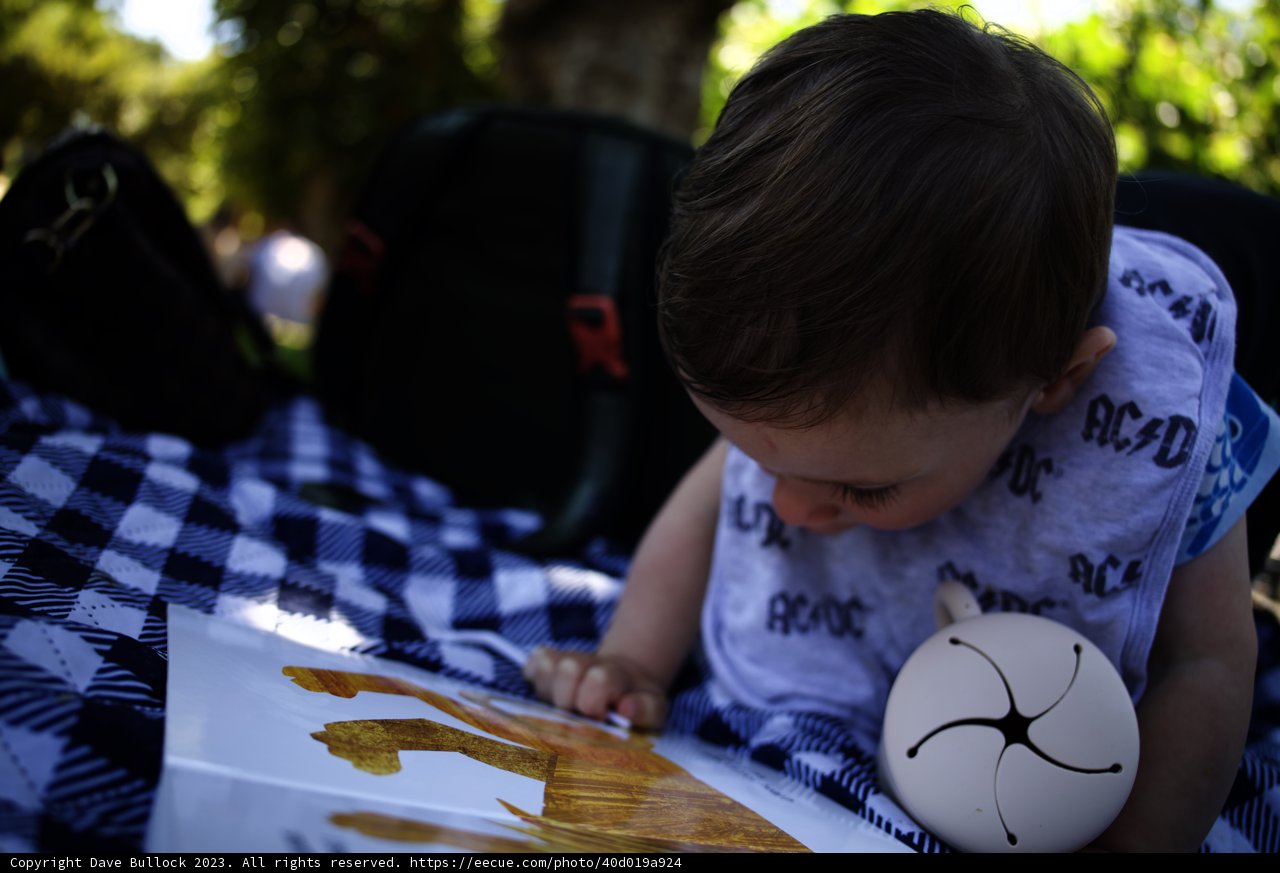 Little Bibliophile's Summer Reading Adventure