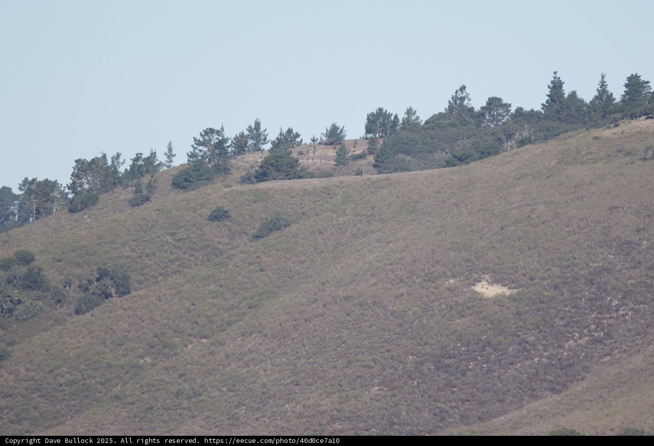 Tranquil Highlands of Carmel Valley