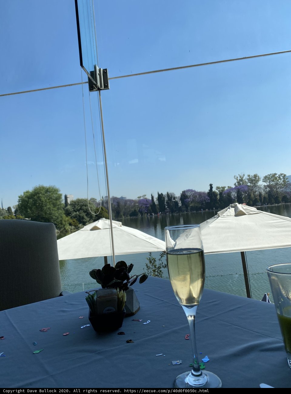 Outdoor Wine Tasting in Chapultepec Park