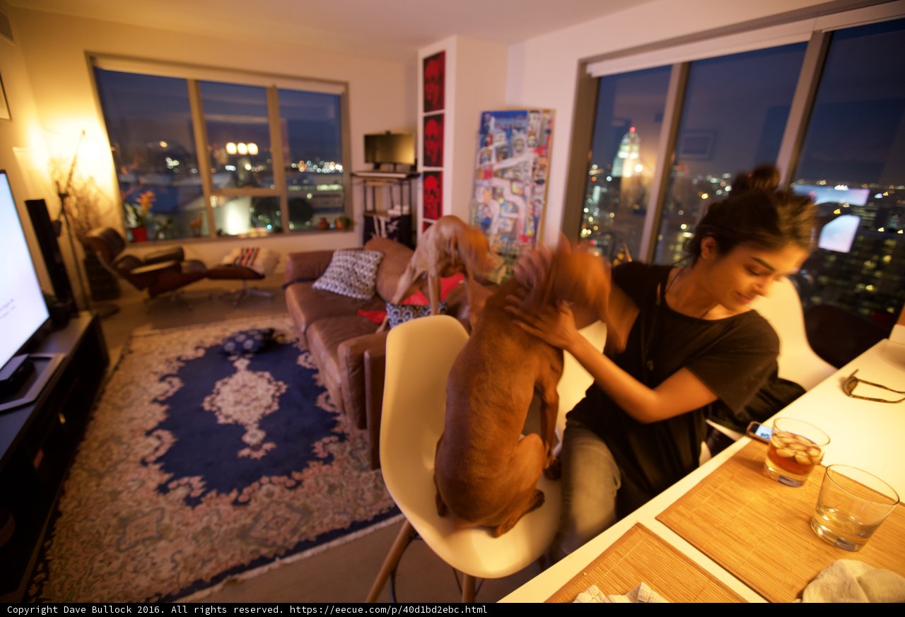 Relaxing in the Living Room