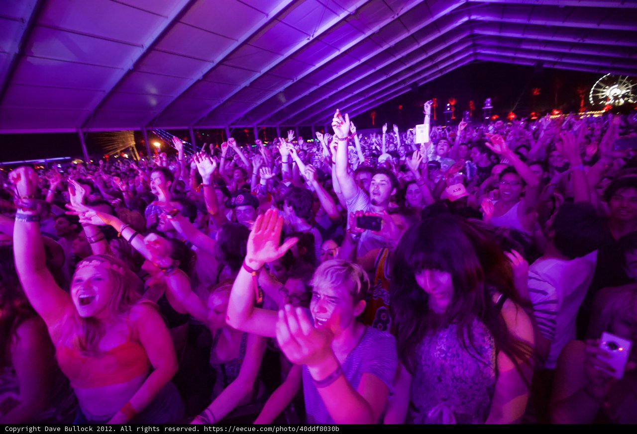 Electric Vibes at Coachella