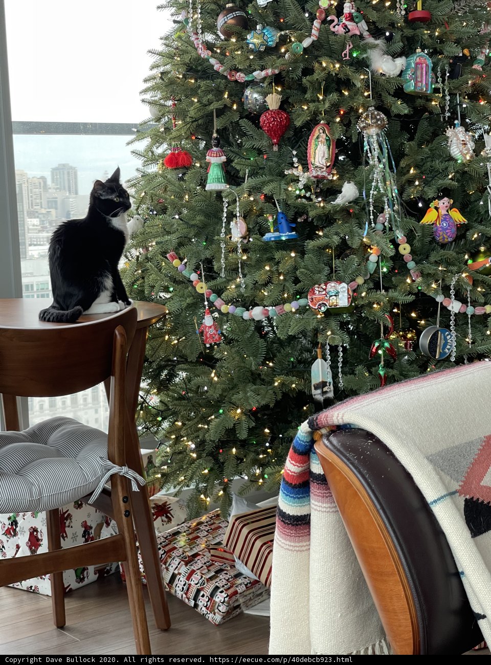 Feline Festivities