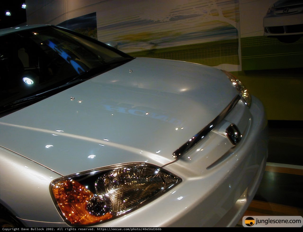Sleek Coupe on Display