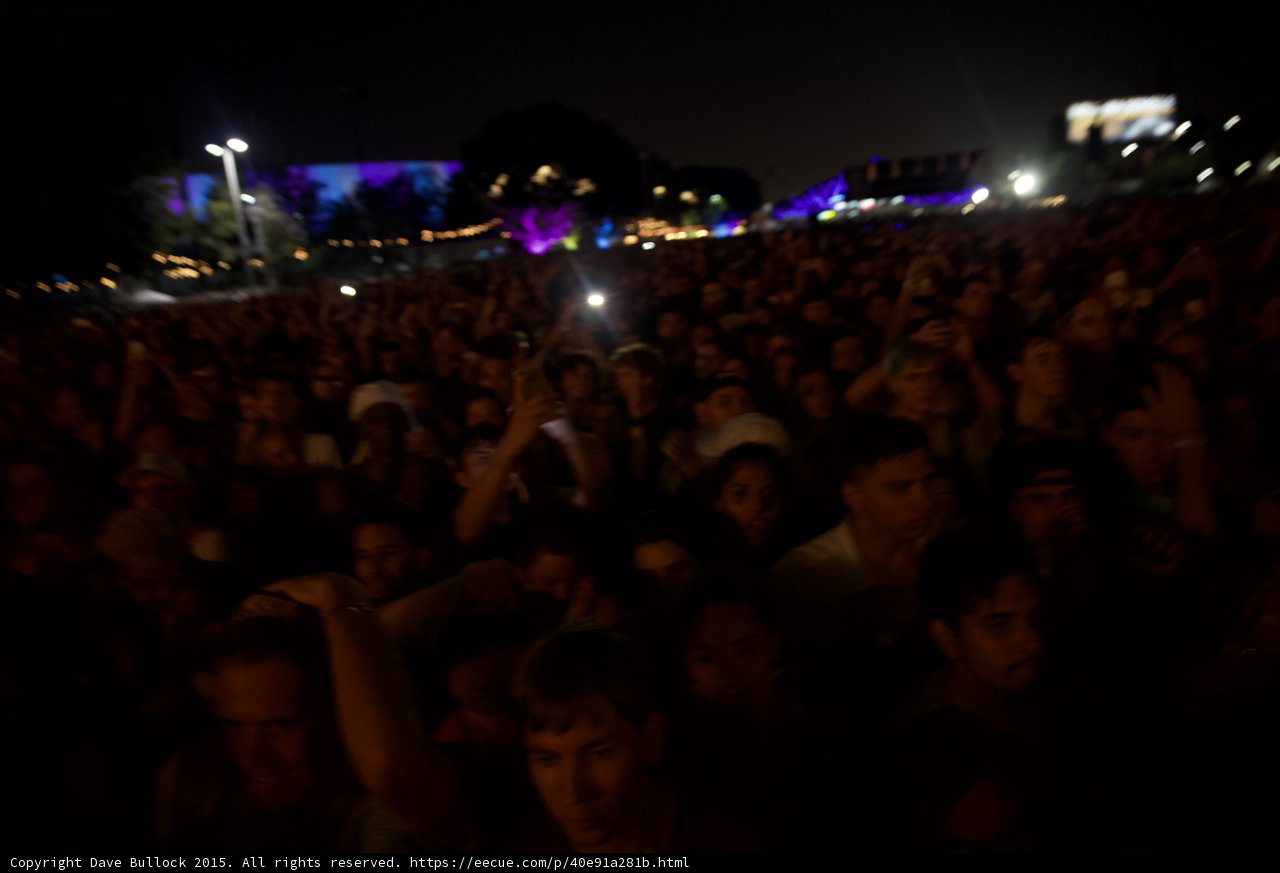 Dense Festival Crowd