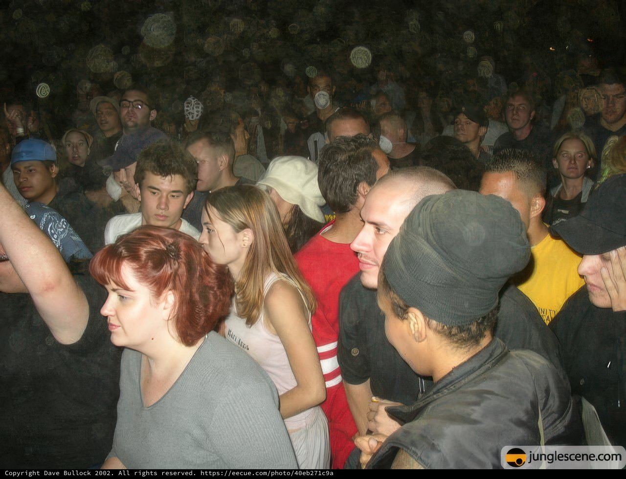 Summer Concert Fun