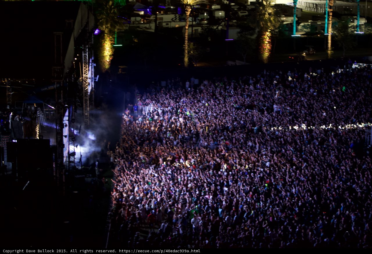 Electric Nights at Coachella