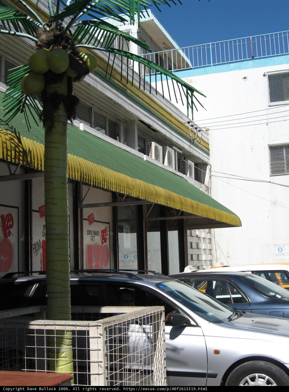 Tropical Oasis in the City
