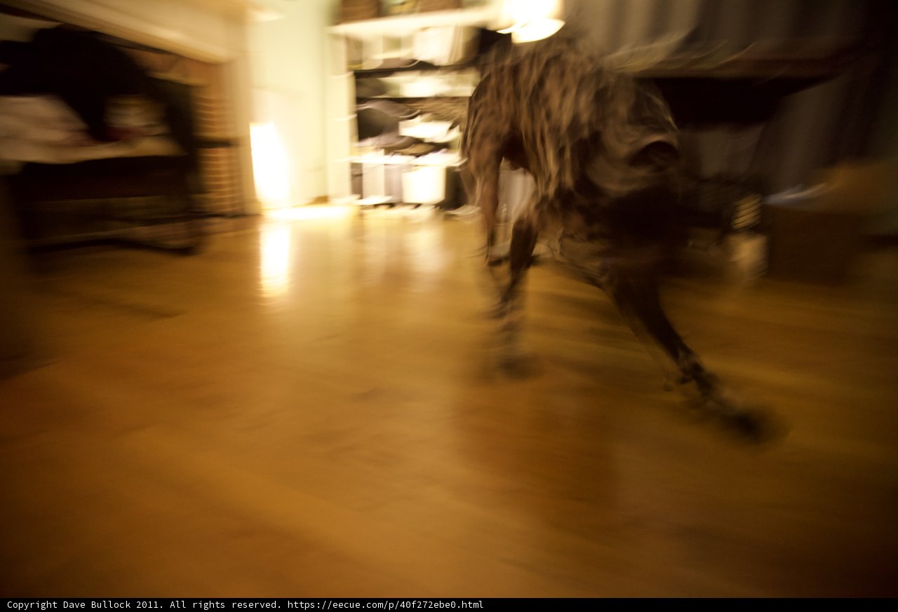 Running on Hardwood