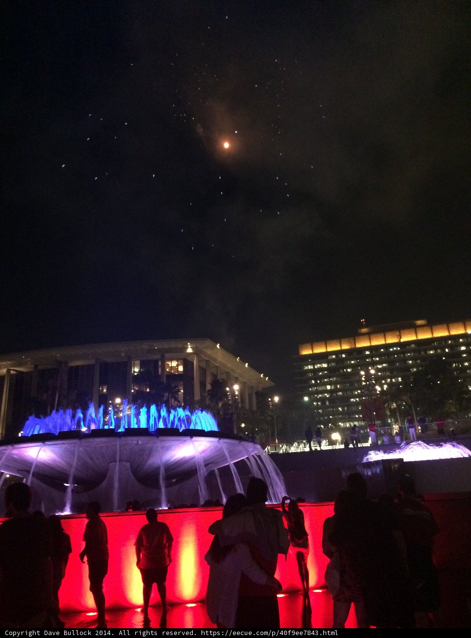 Illuminate the Night