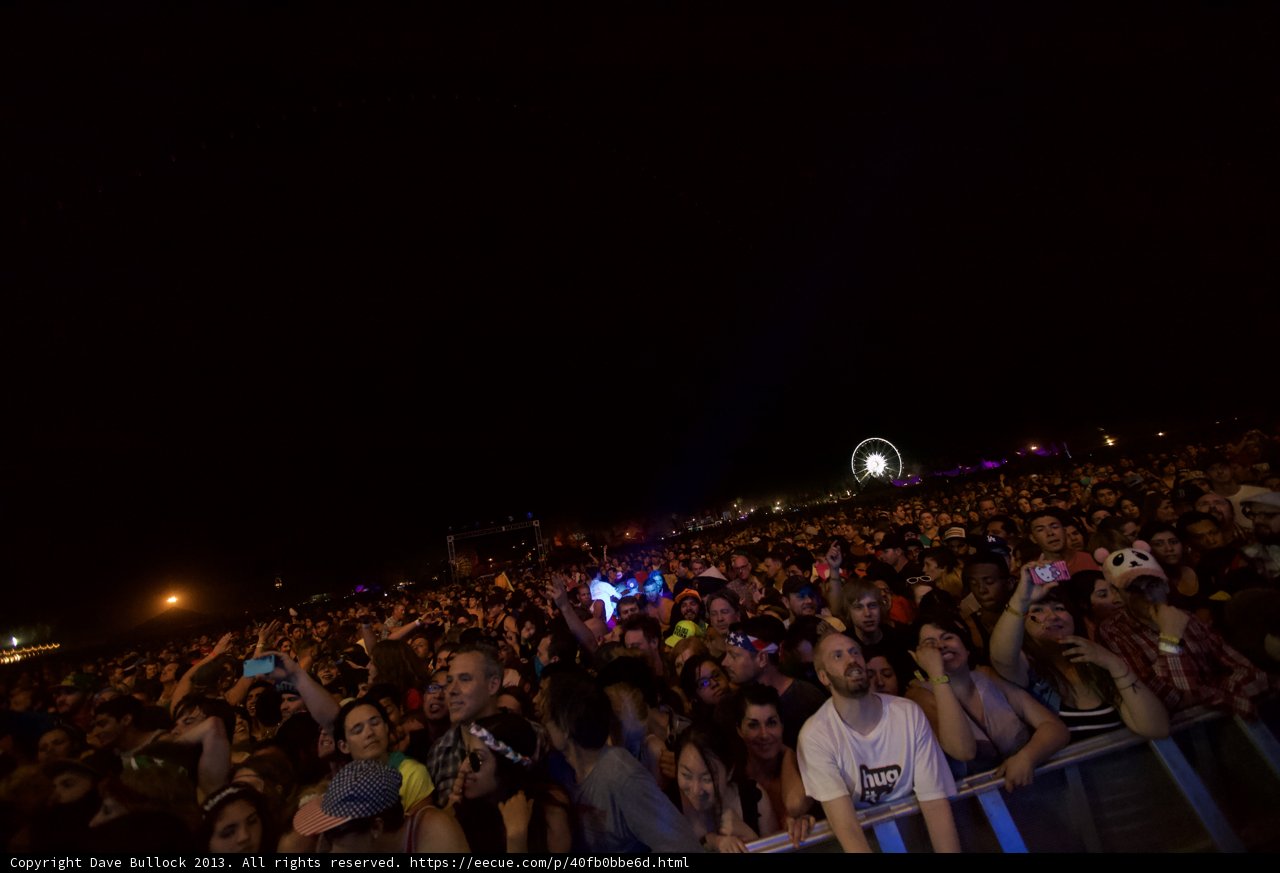 Night Concert Crowd