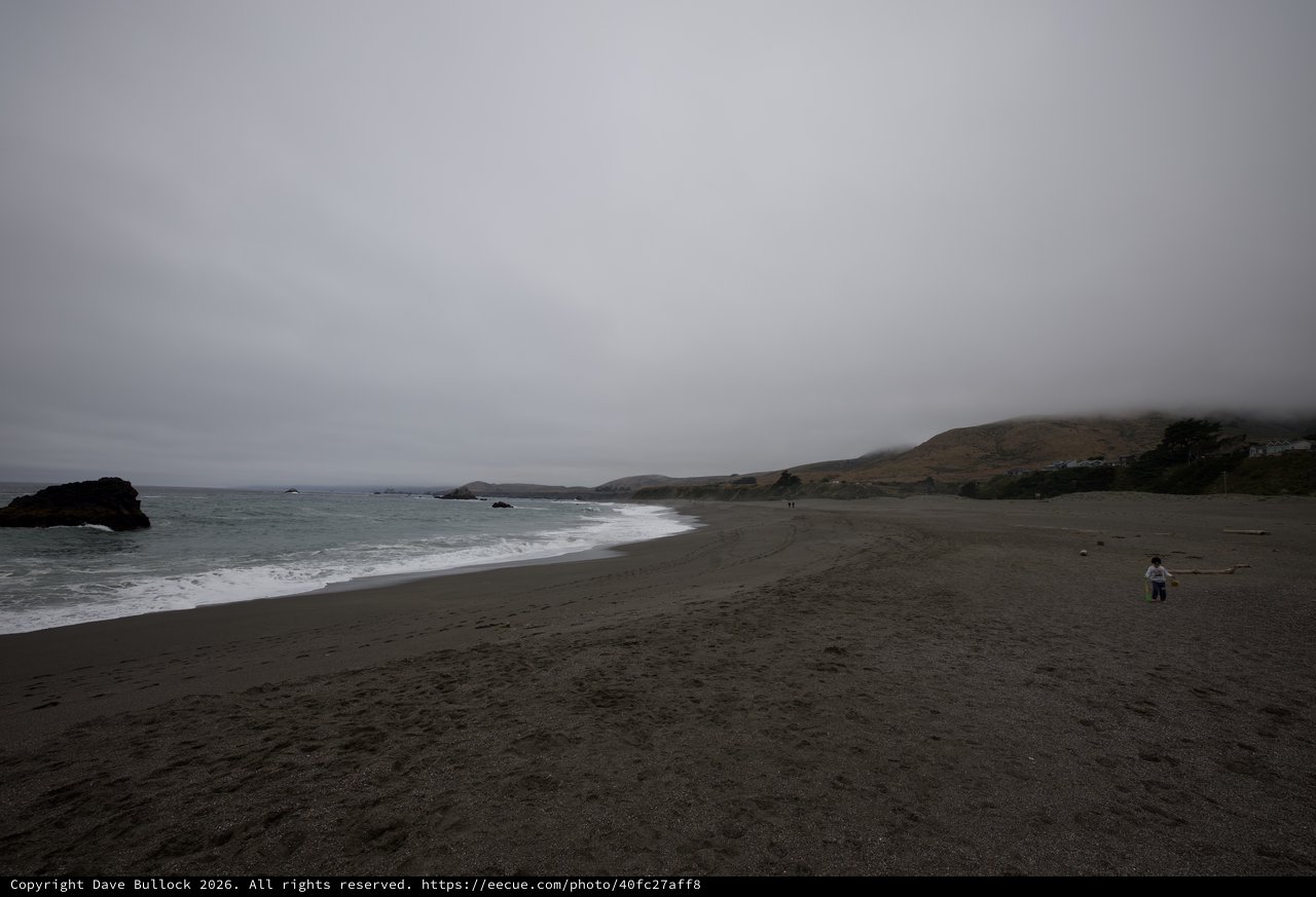 Foggy Northern California Coastline on Father's Day