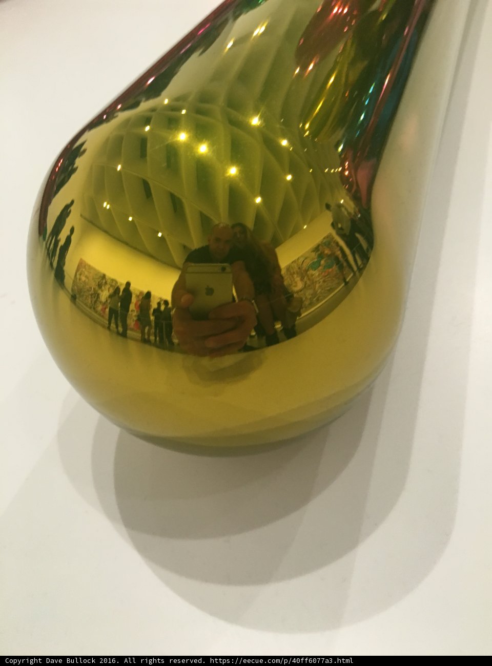 Reflections in Gold
