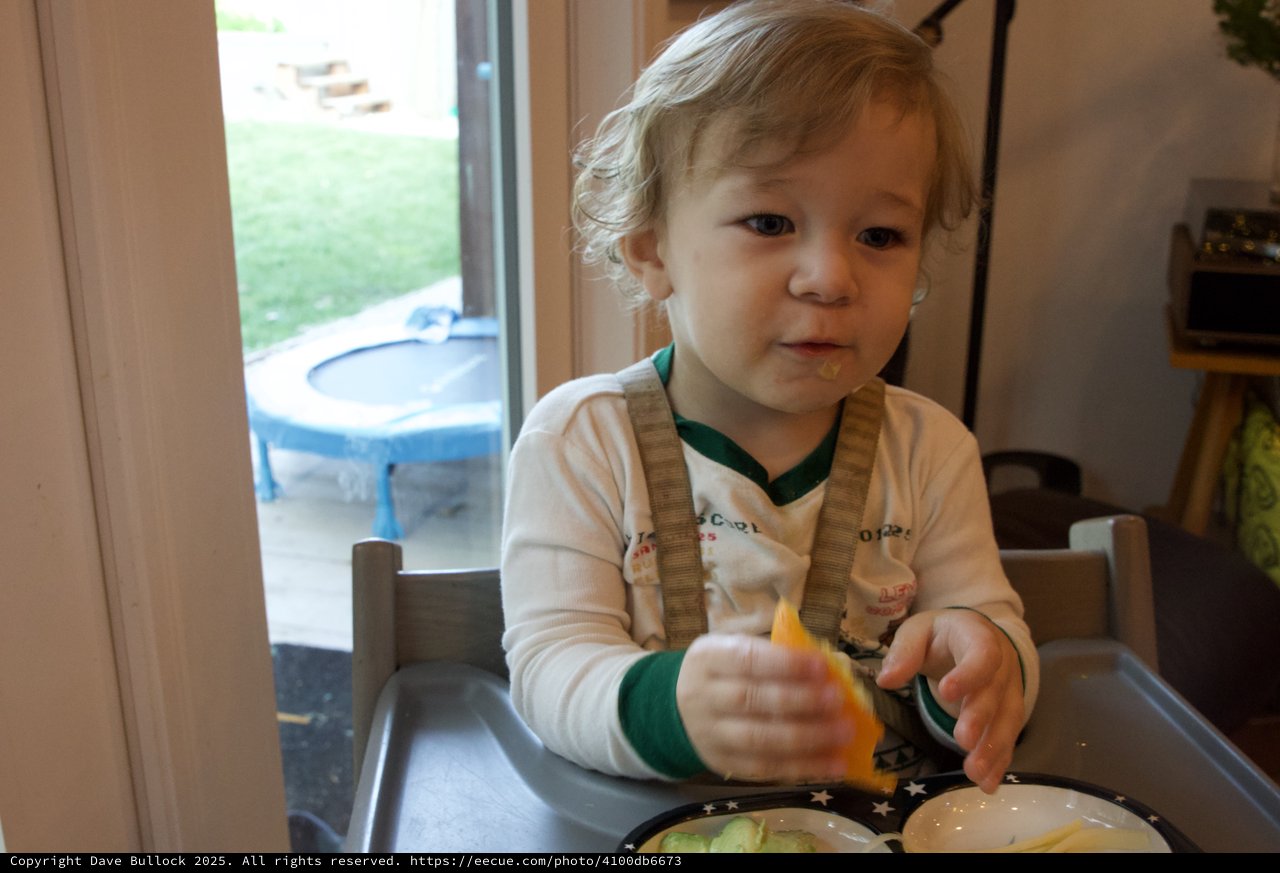 Toddler Enjoying Mealtime at Home on Christmas Eve