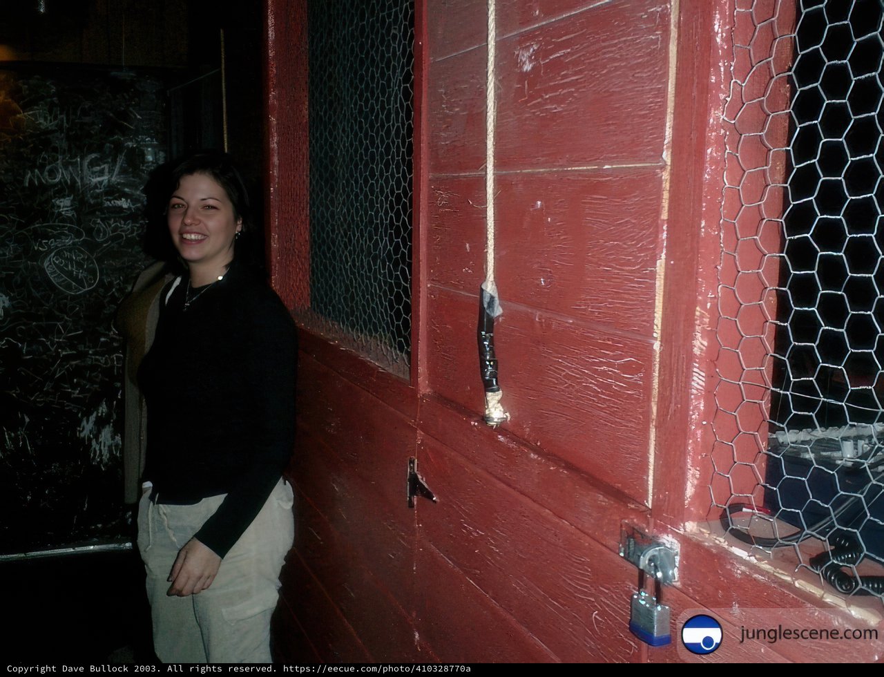 Woman by the Red Door and Fence