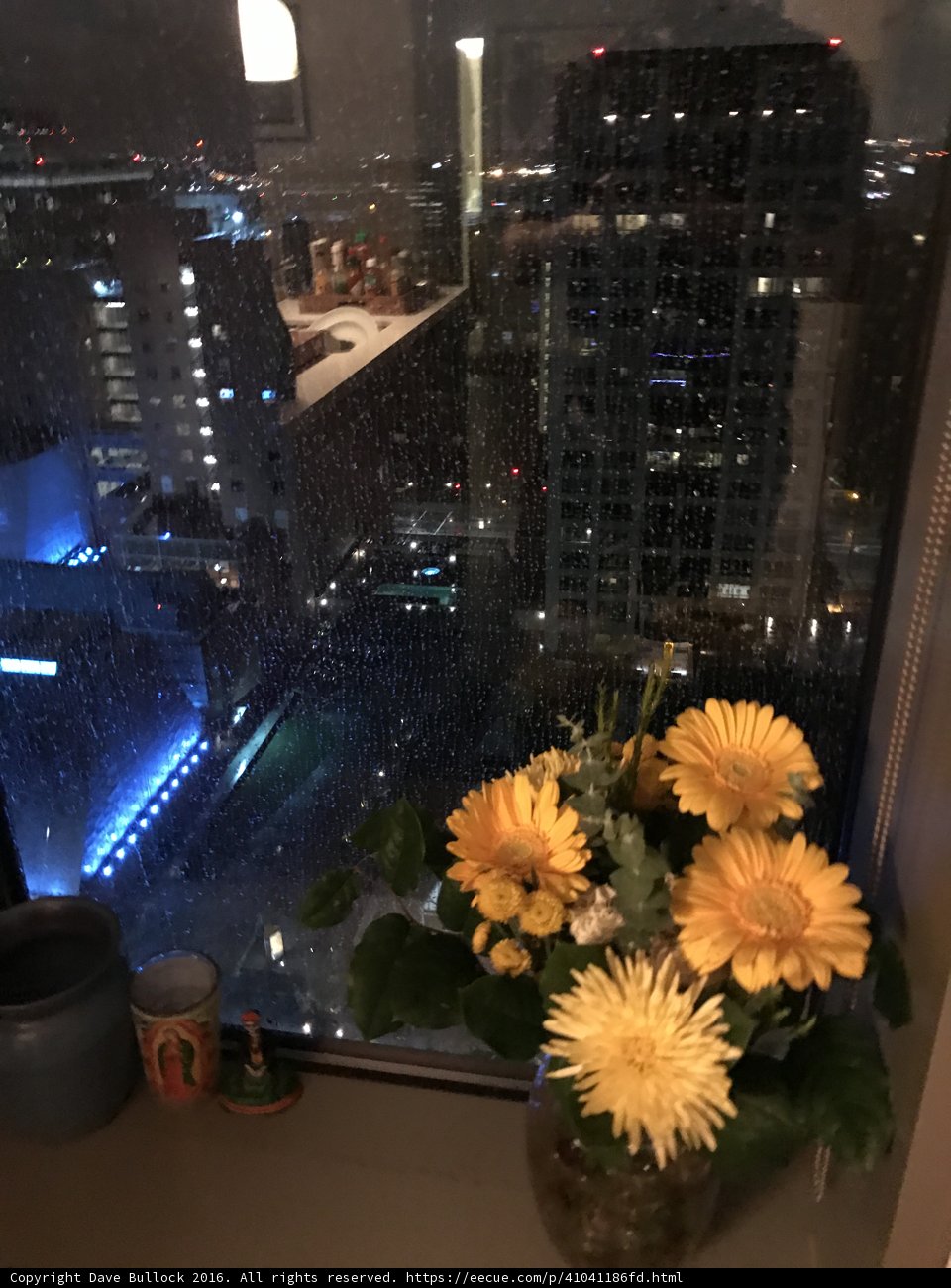Window Blooms