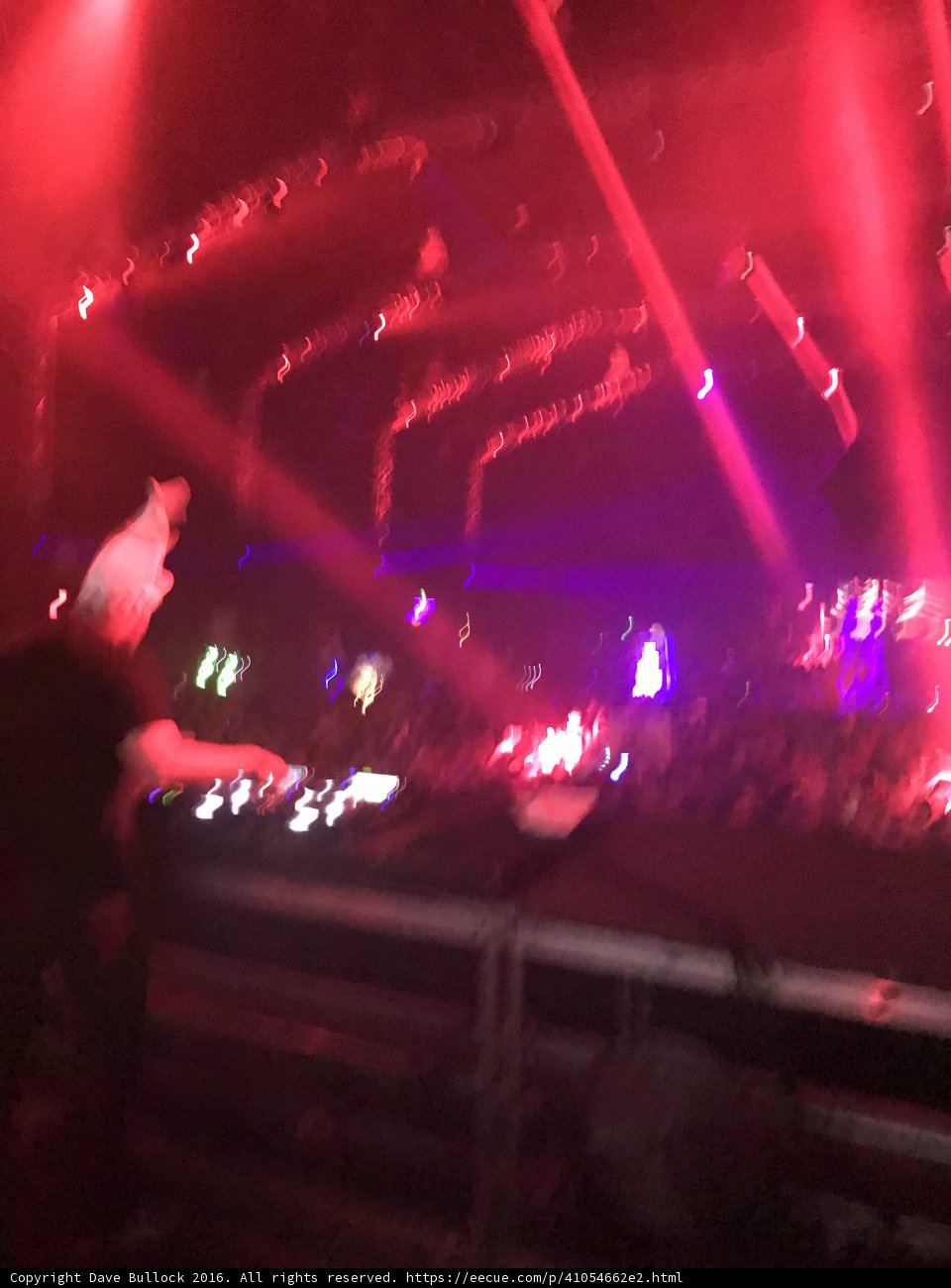 Spotlight on the Crowd