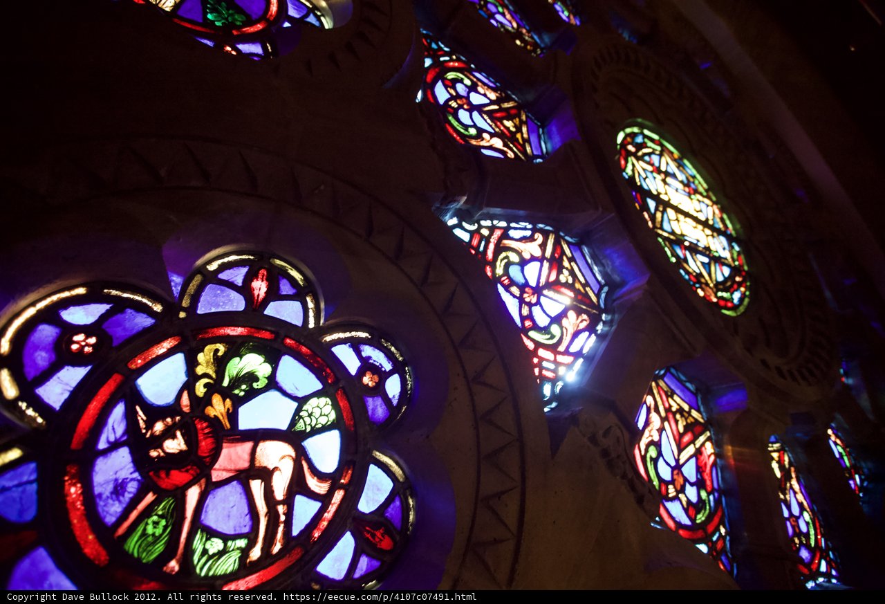 Beauty in the Holy Cross