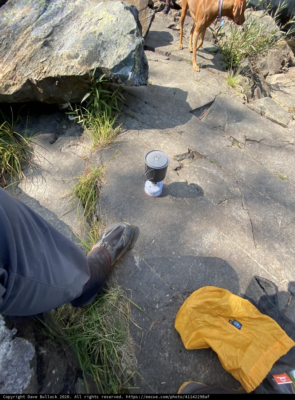 Rocky Adventure with My Furry Friend