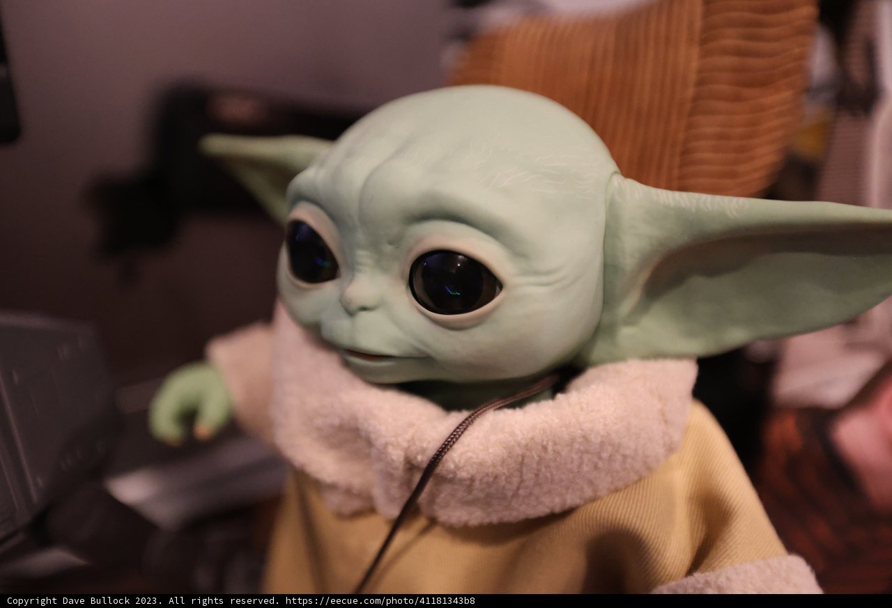 The Cutest Little Alien