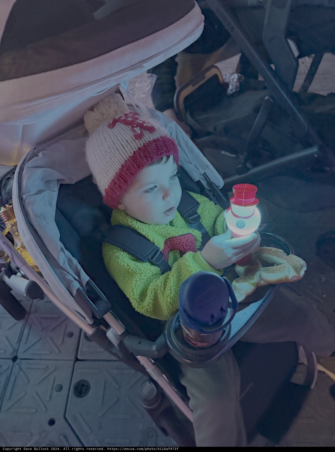 Baby in Stroller Enjoys Winter Outing