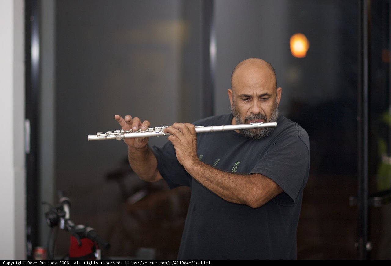 Melodies of Woodwind