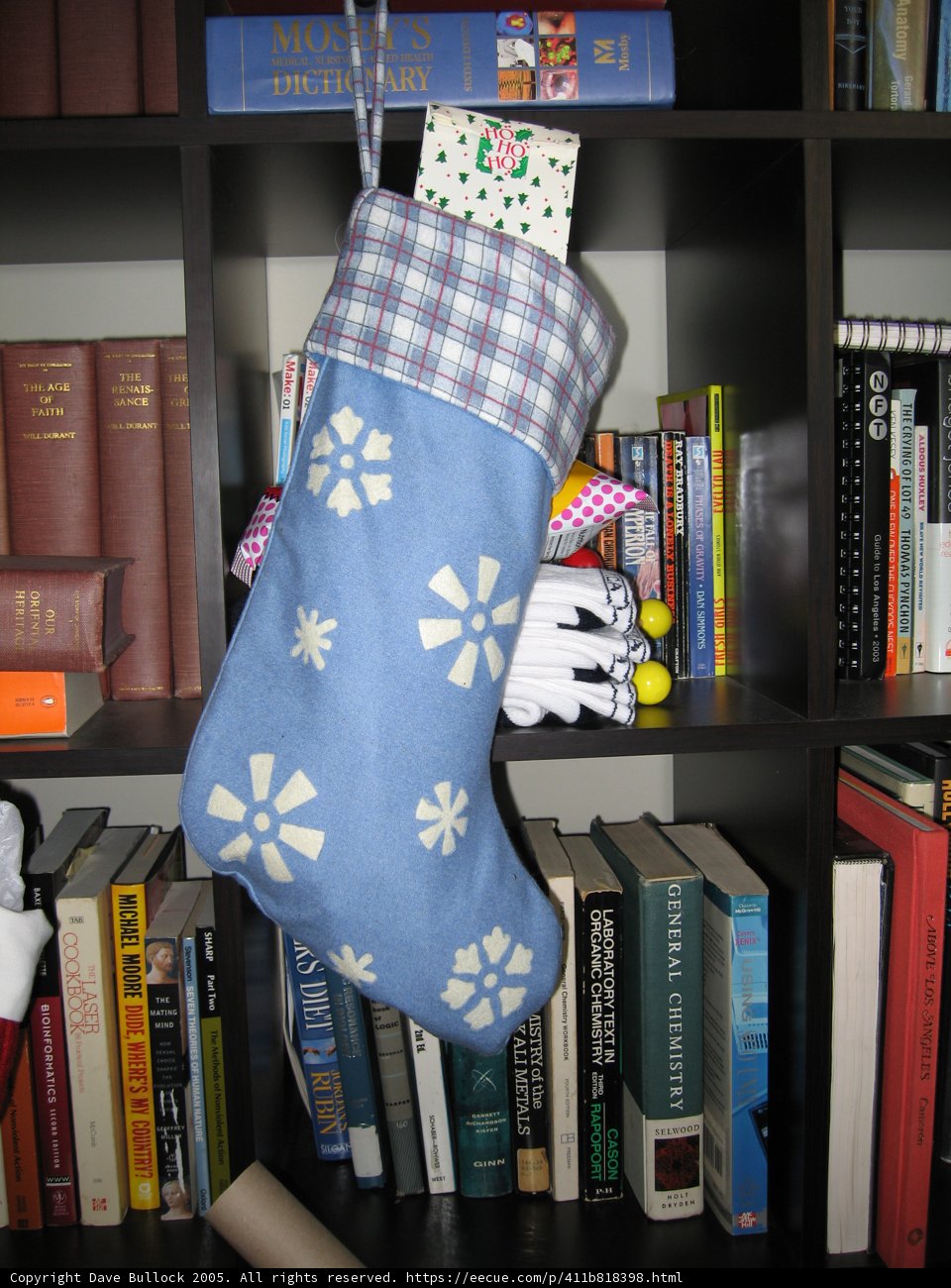 Blue Stocking on Bookshelf