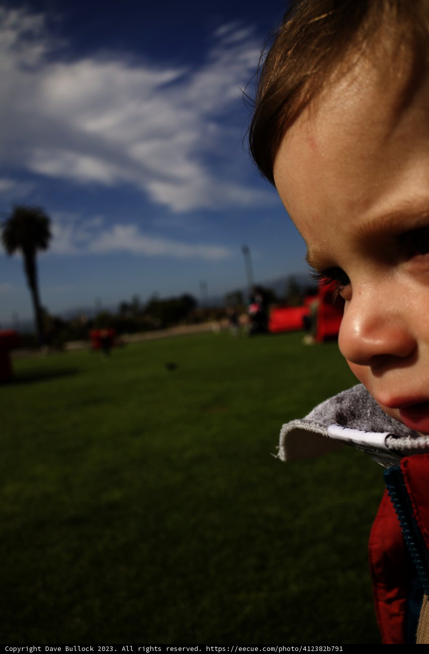 Presidio Summer: A Portrait in Red and Black