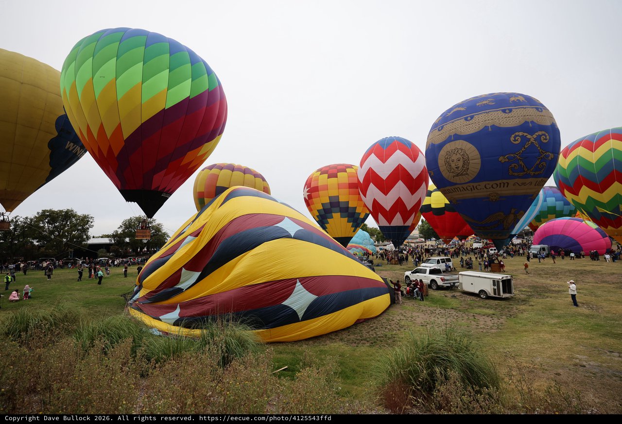 Colorful Hot Air Balloons Fill the Skies at Festival