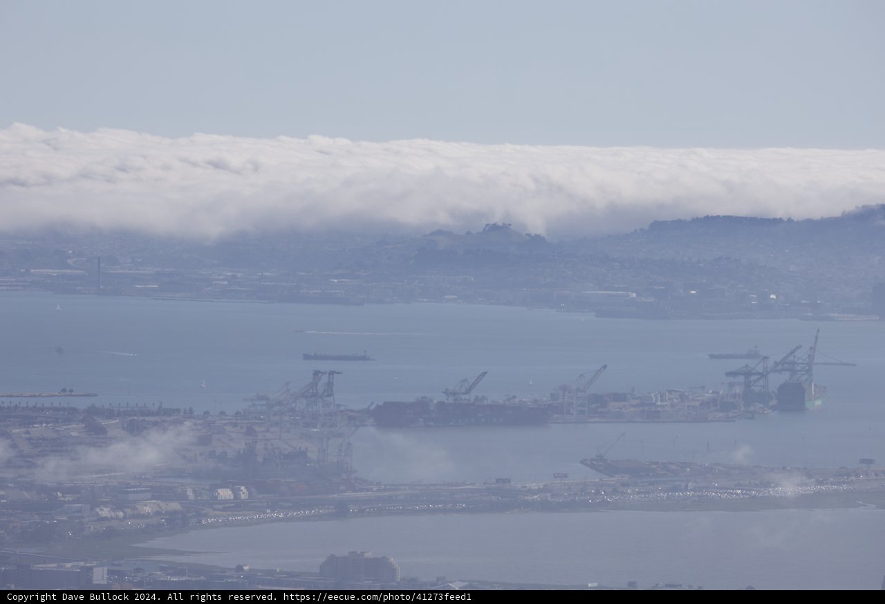 Mist over the Metropolis