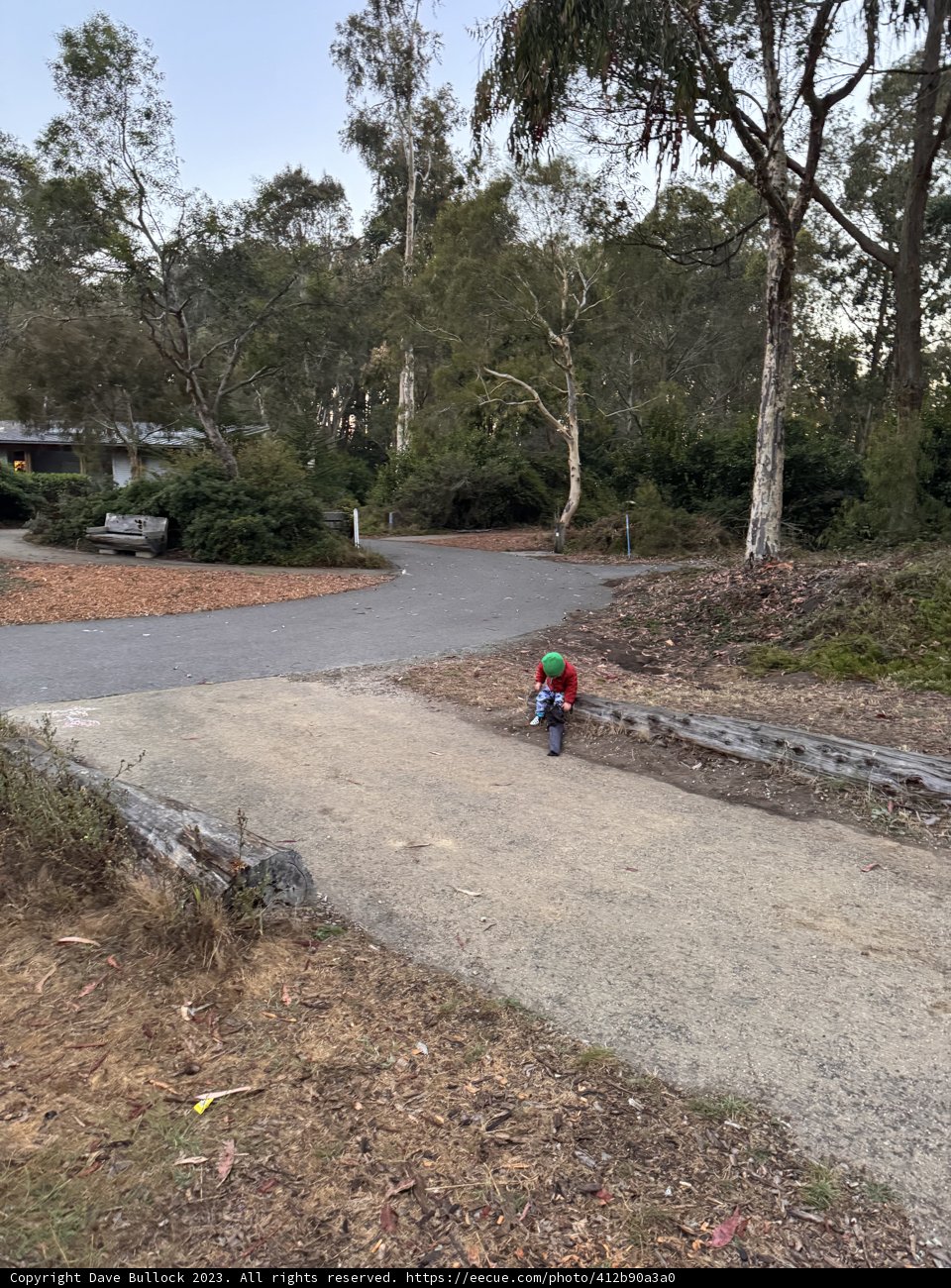 Riding High: A Young Adventurer's Journey