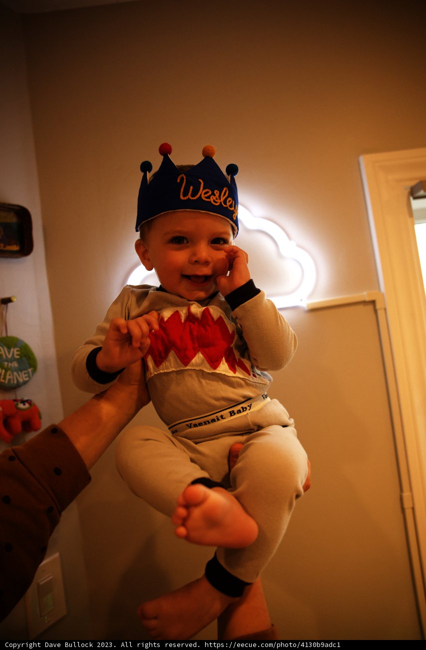 Wesley's Regal First Birthday Celebration
