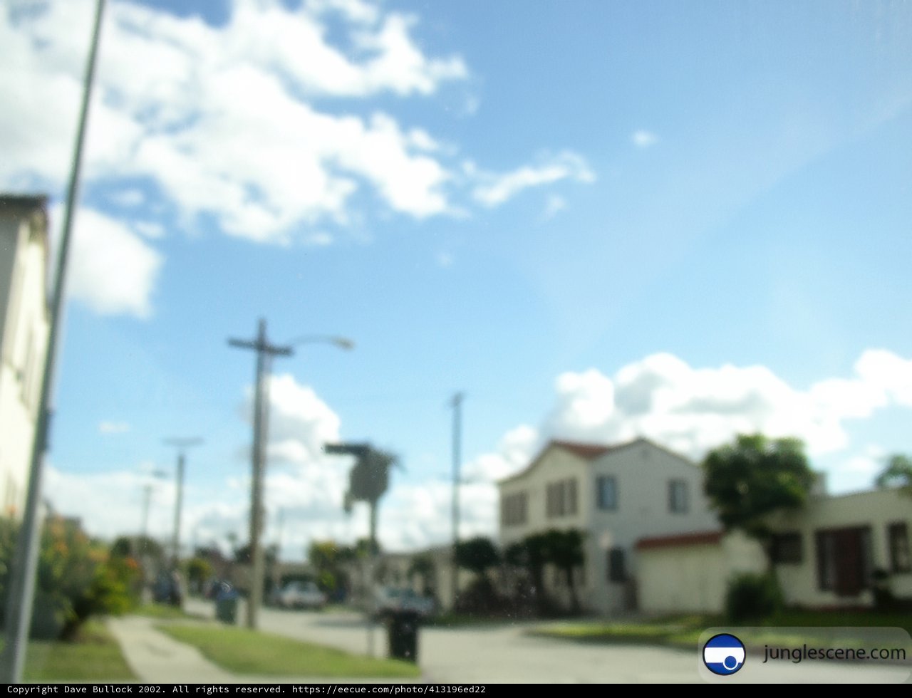 Serene Suburban Skyline