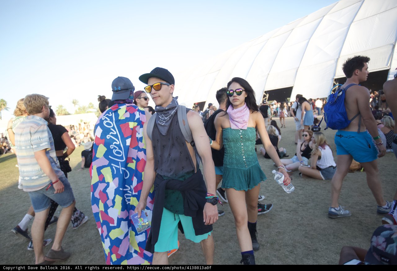 Coachella Concertgoers Enjoying the Festival Vibes