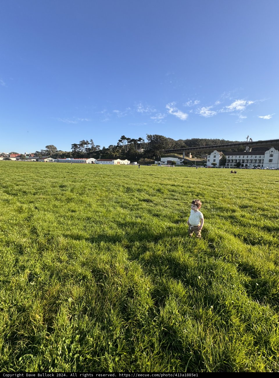Frisbee Frolics in the Field